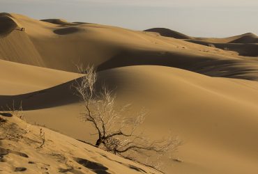 iran desert tour